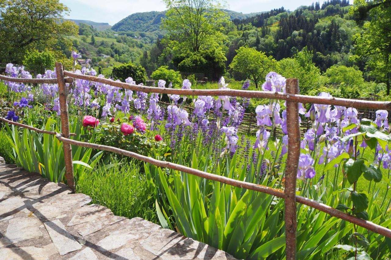 Domaine De La Jordanne - B&B Saint-Cirgues-de-Jordanne Ngoại thất bức ảnh